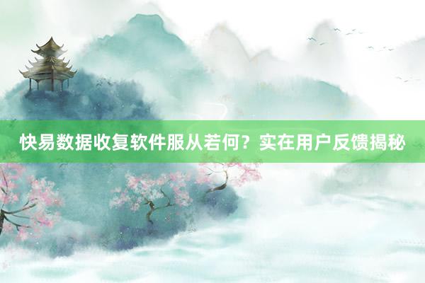 快易数据收复软件服从若何？实在用户反馈揭秘